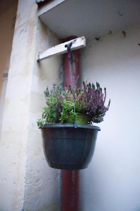 Apartmán Charming Studio In A Courtyard In Paříž Exteriér fotografie